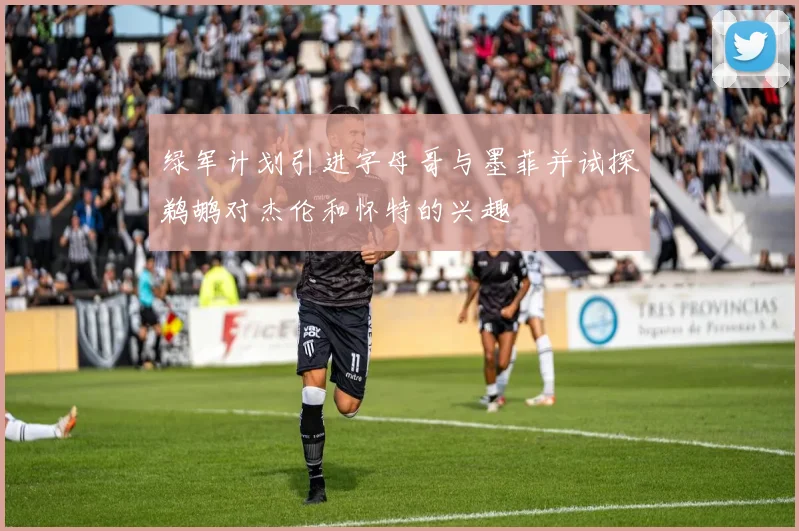 绿军计划引进字母哥与墨菲并试探鹈鹕对杰伦和怀特的兴趣